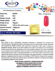 5.05/CT Natural Italian Moonga